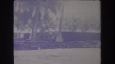 Hawaii USA (1969): There Are So Many Coconut Trees The Place Is Like Sea Shore