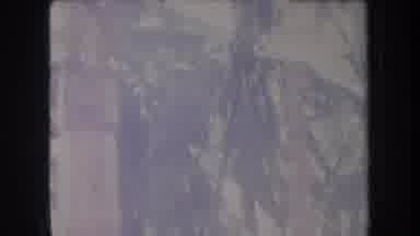 Hawaii USA (1969): Water Earth Elements Trees Leaves Nature Outside Environment
