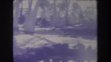 Hawaii USA (1969): Swamp With Many Crooked Trees With A River And A Very Ruin Very