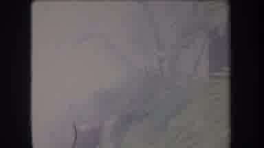 Hawaii USA (1969): Very Frightened In An Old Structure Collapse