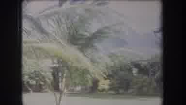 Hawaii USA (1969): Windy Suburban Tropical View