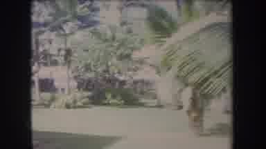Hawaii USA (1969): Camera Panning On Landscape With Trees And Huts