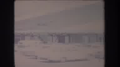 Hawaii USA (1969): Many Vehicles In A Very Large Parking Lot With Palm Trees