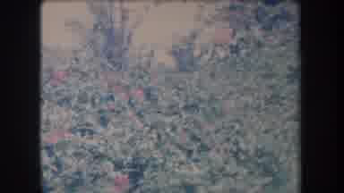 Hawaii USA (1969): Nice Beautiful Day In Spring