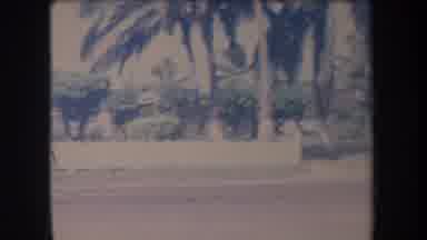 Hawaii USA (1969): Palm Trees On A Quiet Street On A Bright Sunny Day