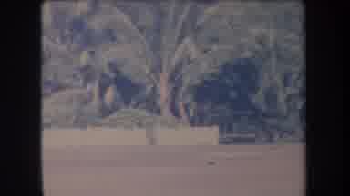 Hawaii USA (1969): An Old Car Driving Down A Road With Two Red Octagonal Stop