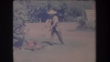 Hawaii USA (1969): Man Mowing Lawn Whilst There Are Zoo Animals Around Behind The