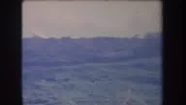 Hawaii USA (1969): Dense Jungle Nearby In Broad Daylight With Large Leafy Trees In