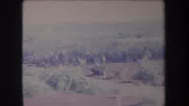 Hawaii USA (1969): Two People Moving Quickly Past A Field Of Grasses And Other