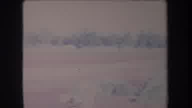 Hawaii USA (1969): A Car In A Driveway In Front Of A Forest