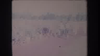 Hawaii USA (1969): Group Of People Walk Next To A Crop Field On A Sunny Day