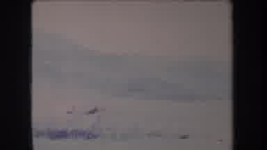 Hawaii USA (1969): Landscape Video With Something Driving By In The Scene Quickly