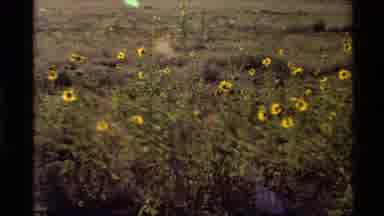 Western USA (1980): Dinosaur Natural History Museum Location