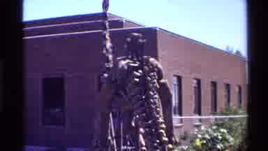 Western USA (1980): Dinosaur Skeleton In Front Of Brick Building With Flowers And