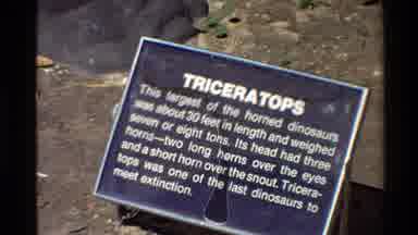 Western USA (1980): An Educational Placard Describes The Triceratops Dinosaur