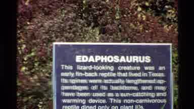 Western USA (1980): Someone Is In A Zoo Type Place Recording A Sign About