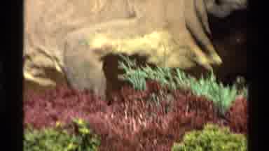 Western USA (1980): Clip Of A Statue Of A Lizard