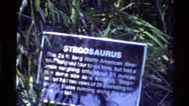 Western USA (1980): Information On A Stegosaurus Is Shown Then A Replica Of One Is