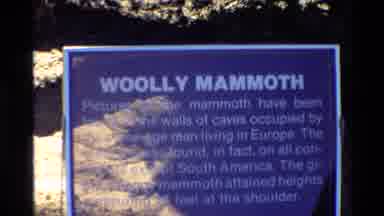 Western USA (1980): Tourist Attraction Showing Woolly Mammoth And Sign Describing