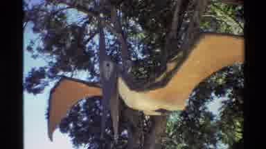 Western USA (1980): Pterodactyl And Brontosaurus Being Featured In A Dinosaur Park