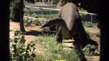 Western USA (1980): Long Neck Dinosaur At A Dinosaur Park In With Grass
