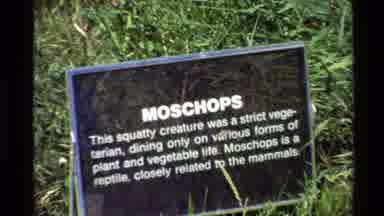 Western USA (1980): Plant Eating Dinosaur Outdoor Museum Exhibit Descriptive Sign