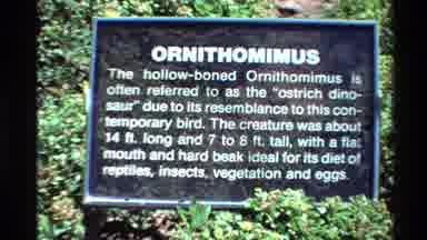 Western USA (1980): Ornithomimus In Its Natural World