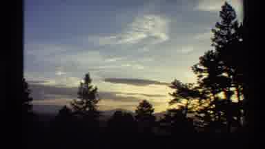 Western USA (1980): Gazing At The Sky In The Woods During A Sunset