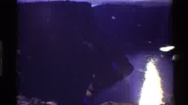 Western USA (1980): River's Reflection Of Sunset Through Mountain Valley
