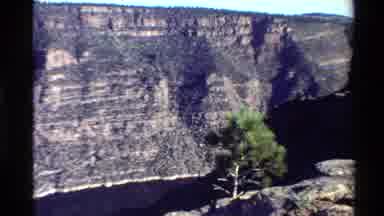 Western USA (1980): Mountain Canyon Green Trees And River On A Bright Sunny Day