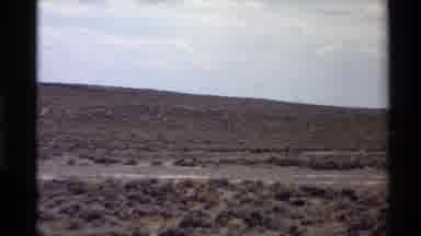 Western USA (1980): Running Pack Of Antelope Running In Back Of Each Other Across