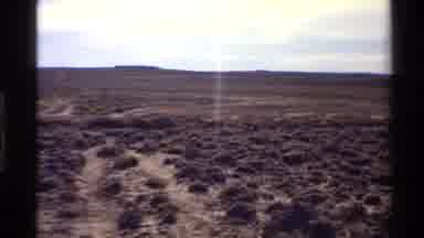 Western USA (1980): Nation That Destroys Its Tree Is Destroying Its Own Nature And
