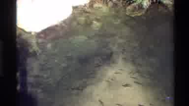 Western USA-1980: Underwater Scene With Small Fish Swimming Near Rock Formation