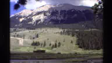 Western USA (1980): Trees In The Valley Near The High Peaks Of The Mountain And