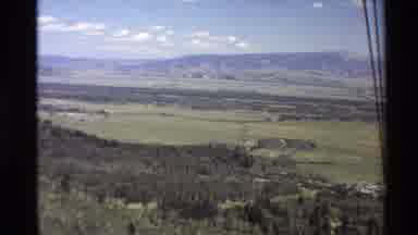 Western USA (1980): Natural Trees In Area
