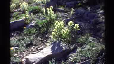 Western USA (1980): Discovering Nature In All Her Beauty