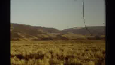 Western USA (1980): Blooming Pink Flowers Mountains And Meadow On A Sunny Day