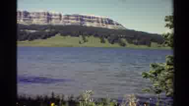 Western USA (1980): A Peaceful And Beautiful Of Video About Mountain River Tree