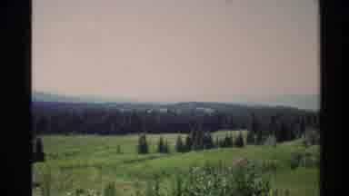 Western USA (1980): Rolling Lush Green Hills With Many Trees In The Sunshine