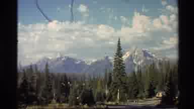 Western USA (1980): An Evergreen Forest In Front Of A Snow Capped Mountain Range