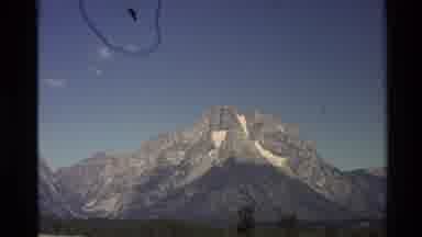 Western USA (1980): Tree Mountains Nature Life Moments Landscape