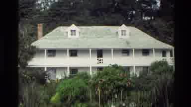 New Zealand (1981): Wood Houses Painted White With Picket Fences And Mowed Lawns