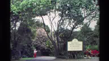 New Zealand (1981): White Sign And Bright Red Blooming Flowers On A Cloudy Day