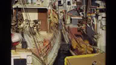 New Zealand (1981): A Tourist A European Country