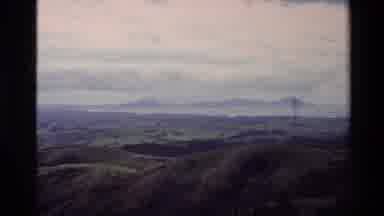New Zealand (1981): Cows Grazing In A Pasture Near The Mountains Near A Barbwire