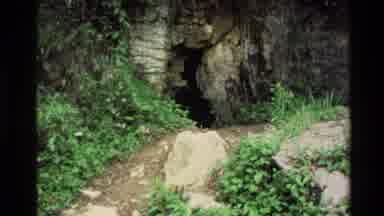 New Zealand-1981: Cave Entrance With Historic Sign and Lush Vegetation