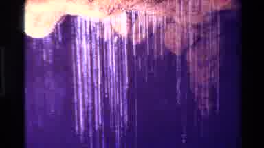 New Zealand (1981): Stalactites Hang From The Ceiling Of A Cave Followed By A Boat