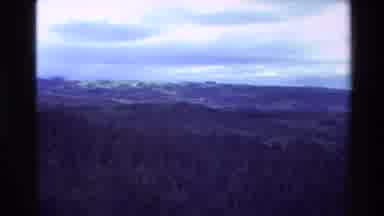 New Zealand (1981): Rural Valley Of Trees With No Fire No Smoking Sign
