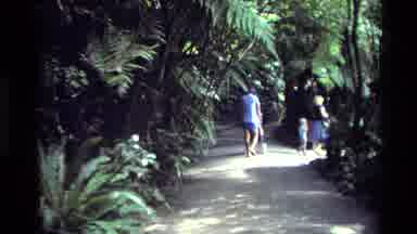 New Zealand (1981): Enjoying The Outdoors