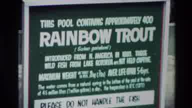 New Zealand (1981): Sign Of Trout Ducks Swimming In An Artificial Pond Trout On A